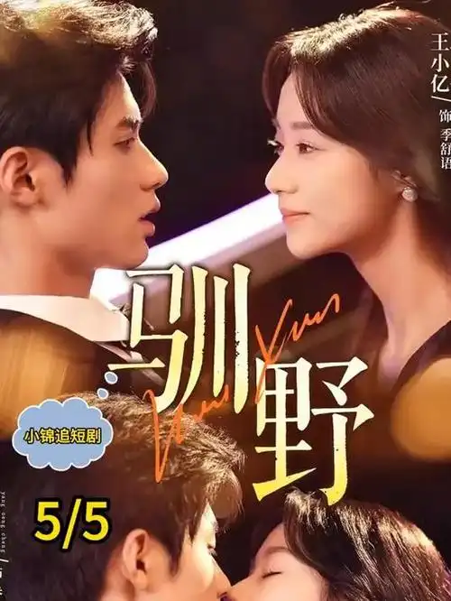都市情感剧 潮汐之间 海报